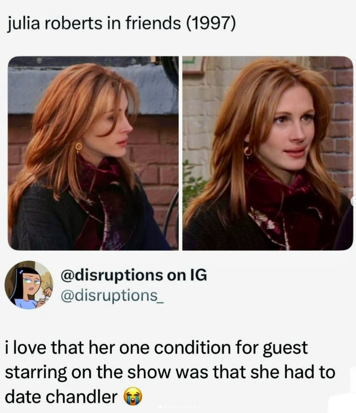 julia roberts in friends (1997) @disruptions on IG @disruptions_ i love that her one condition for guest starring on the show was that she had to date chandler