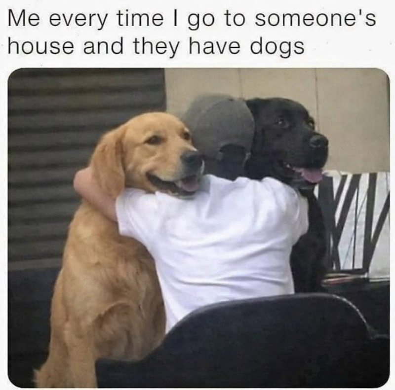 Me every time I go to someone's house and they have dogs
