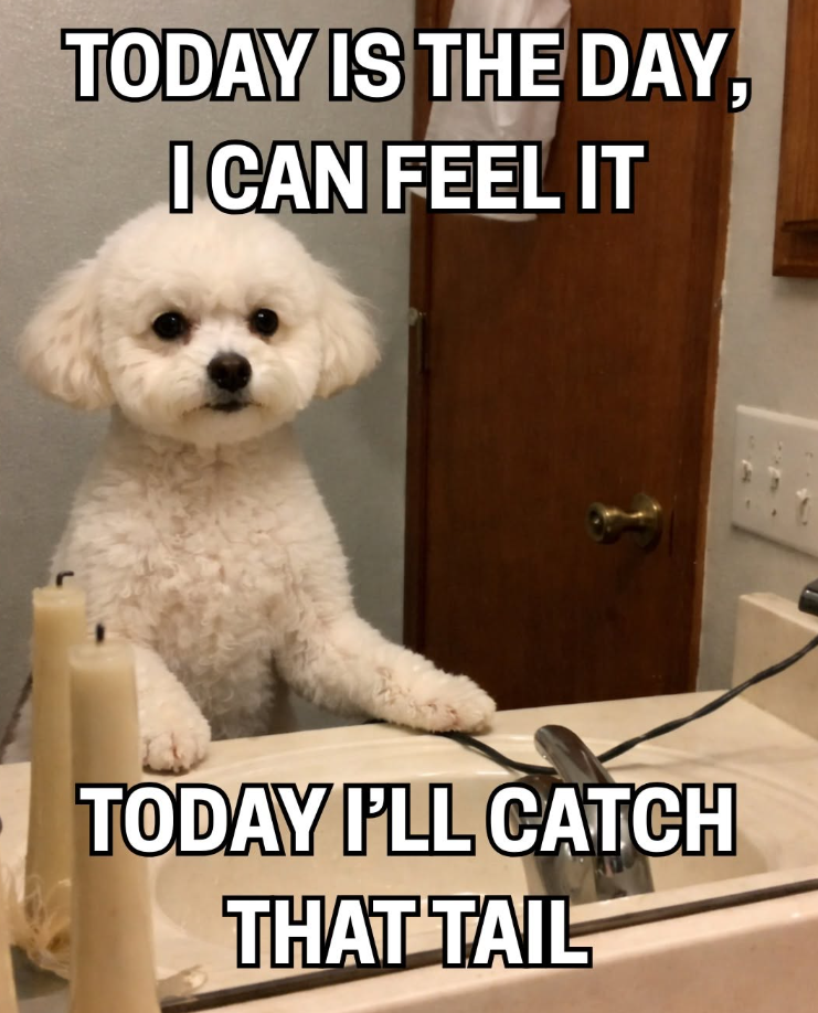 TODAY IS THE DAY, I CAN FEEL IT TODAY I'LL CATCH THAT TAIL