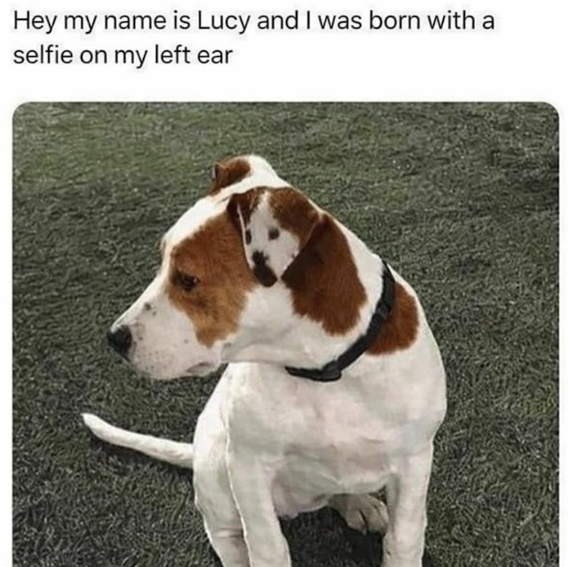 Hey my name is Lucy and I was born with a selfie on my left ear