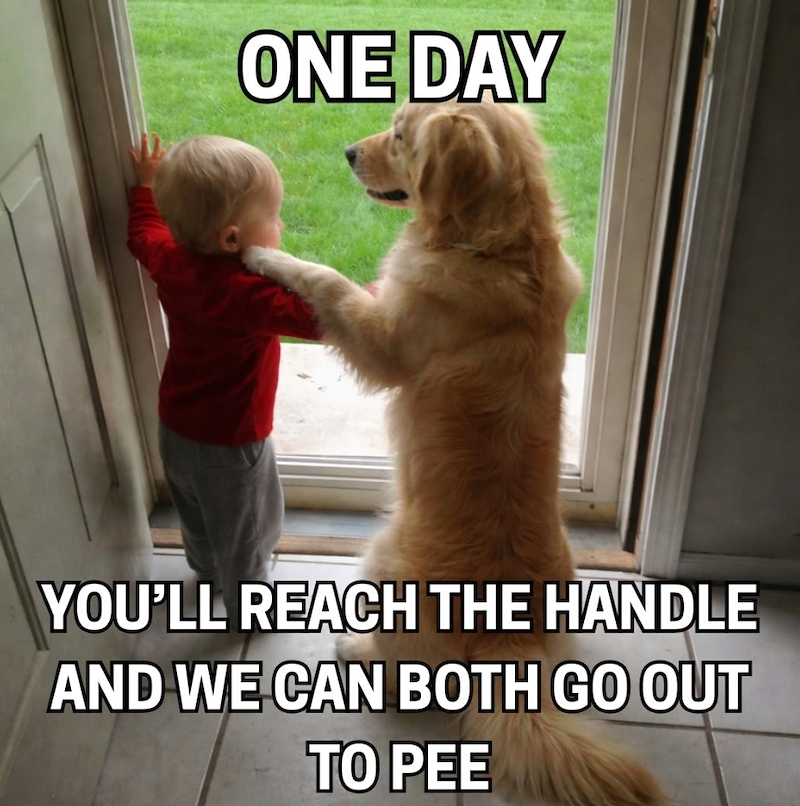 ONE DAY YOU'LL REACH THE HANDLE AND WE CAN BOTH GO OUT TO PEE
