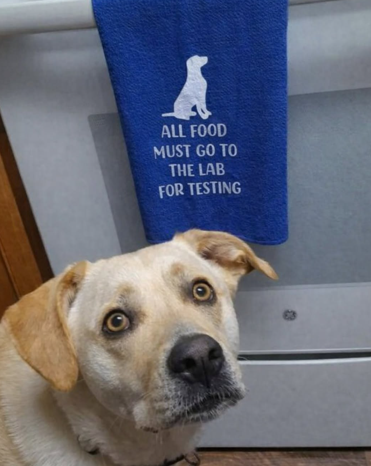 ALL FOOD MUST GO TO THE LAB FOR TESTING