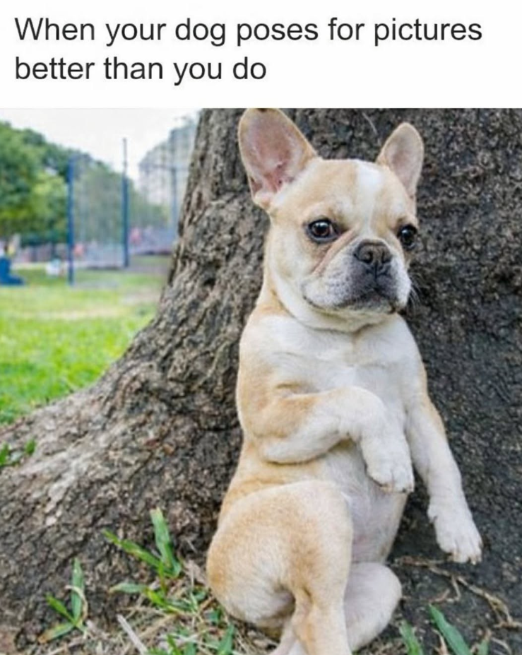 When your dog poses for pictures better than you do