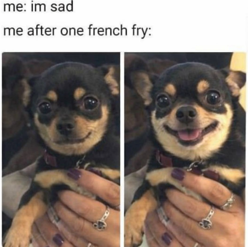 me: im sad me after one french fry: