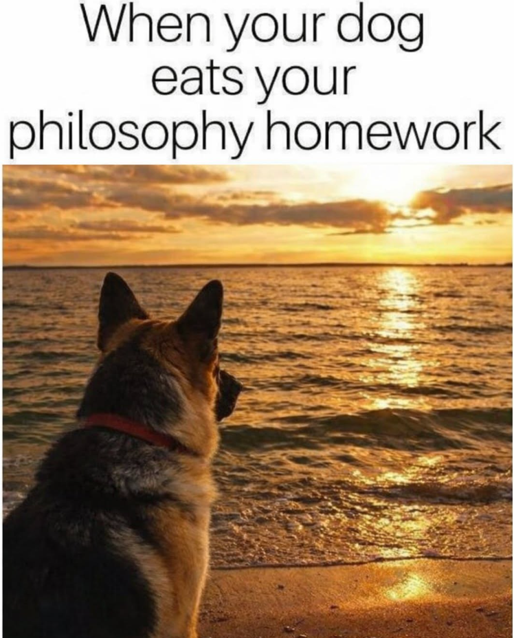 When your dog eats your philosophy homework