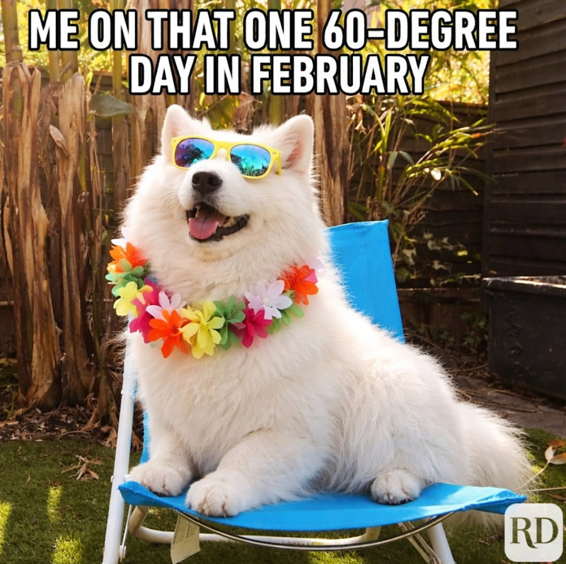 ME ON THAT ONE 60-DEGREE DAY IN FEBRUARY RD