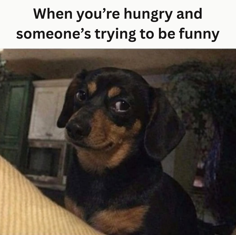 When you're hungry and someone's trying to be funny