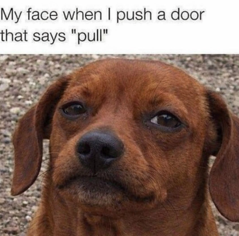 My face when I push a door that says "pull"