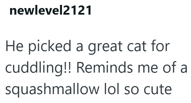 newlevel2121 He picked a great cat for cuddling!! Reminds me of a squashmallow lol so cute