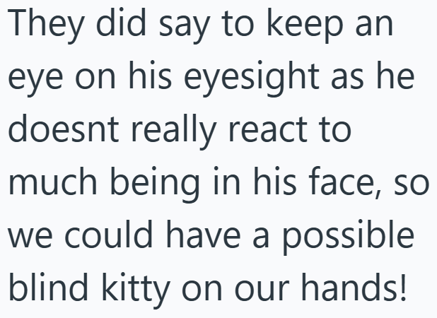 They did say to keep an eye on his eyesight as he doesnt really react to much being in his face, so we could have a possible blind kitty on our hands!