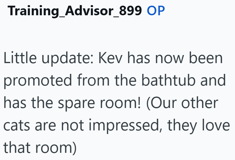 Training_Advisor_899 OP Little update: Kev has now been promoted from the bathtub and has the spare room! (Our other cats are not impressed, they love that room)