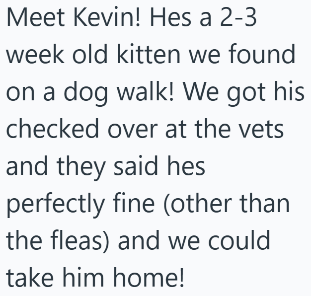 Meet Kevin! Hes a 2-3 week old kitten we found on a dog walk! We got his checked over at the vets and they said hes perfectly fine (other than the fleas) and we could take him home!