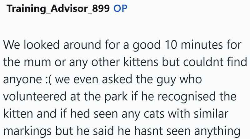 Training_Advisor_899 OP We looked around for a good 10 minutes for the mum or any other kittens but couldnt find anyone :( we even asked the guy who volunteered at the park if he recognised the kitten and if hed seen any cats with similar markings but he said he hasnt seen anything