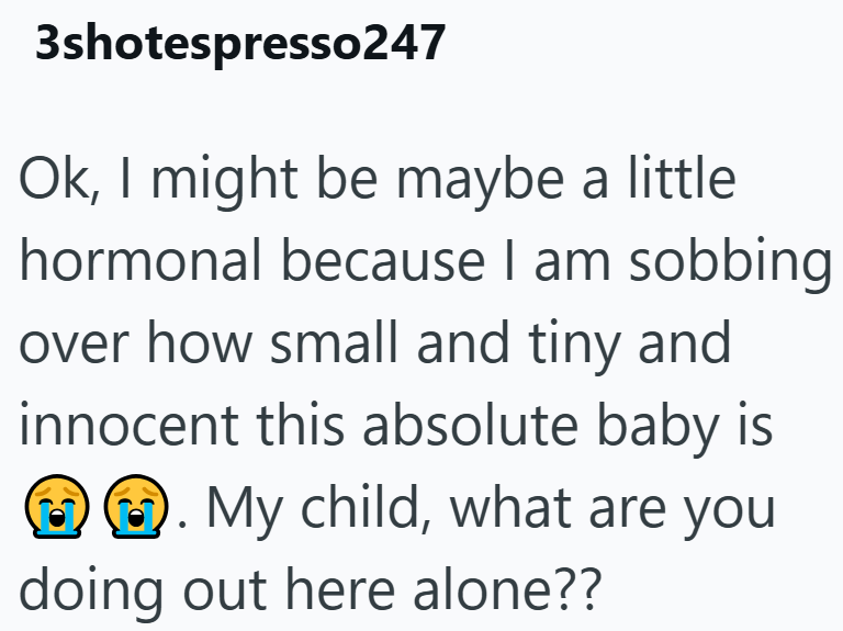 3shotespresso247 Ok, I might be maybe a little hormonal because I am sobbing over how small and tiny and innocent this absolute baby is . My child, what are you doing out here alone??