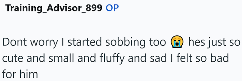 Training Advisor_899 OP Dont worry I started sobbing too ③hes just so cute and small and fluffy and sad I felt so bad for him