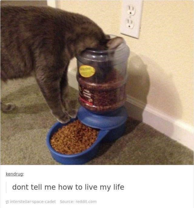 kendrug: dont tell me how to live my life interstellar-space-cadet Source; reddit.com