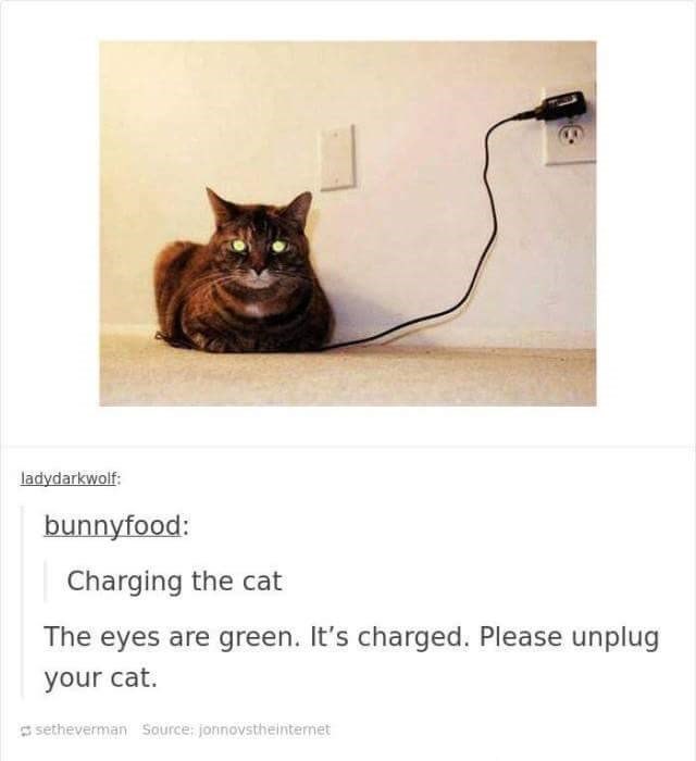 ladydarkwolf: bunnyfood: Charging the cat The eyes are green. It's charged. Please unplug your cat. setheverman Source: jonnovstheinternet