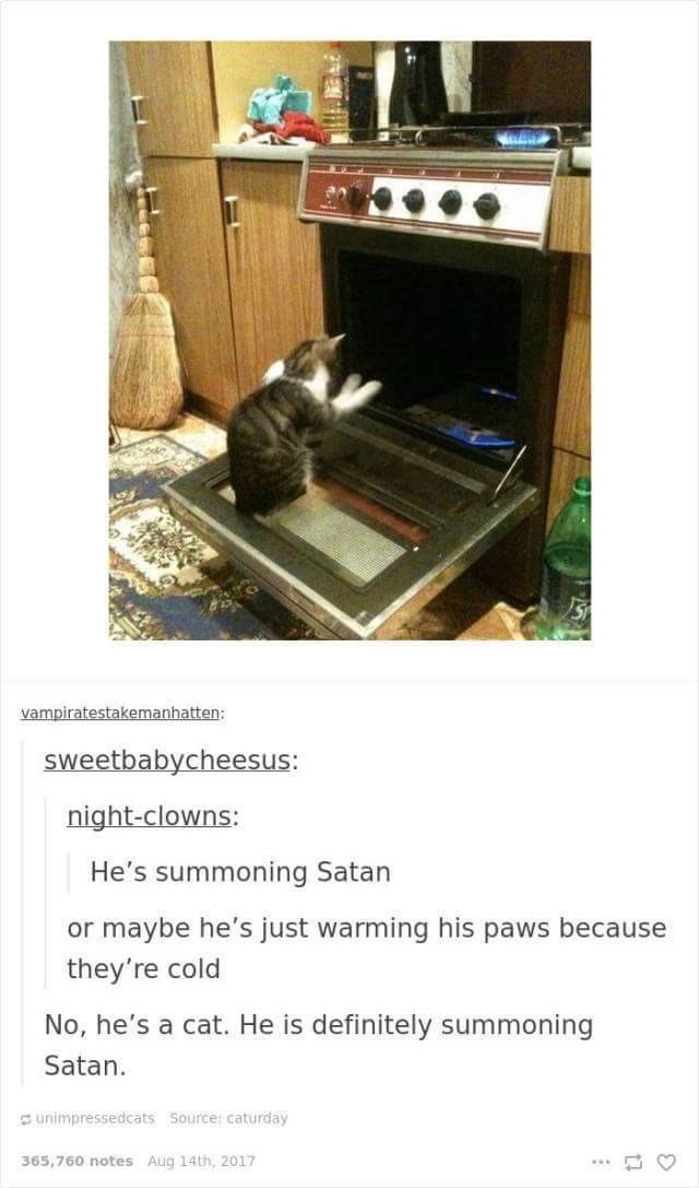 vampiratestakemanhatten: sweetbabycheesus: night-clowns: He's summoning Satan or maybe he's just warming his paws because they're cold No, he's a cat. He is definitely summoning Satan. unimpressedcats Source: caturday 365,760 notes Aug 14th, 2017