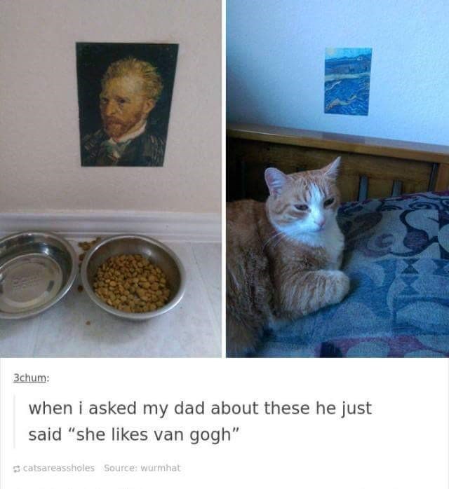 3chum: when i asked my dad about these he just said "she likes van gogh" catsareassholes Source: wurmhat