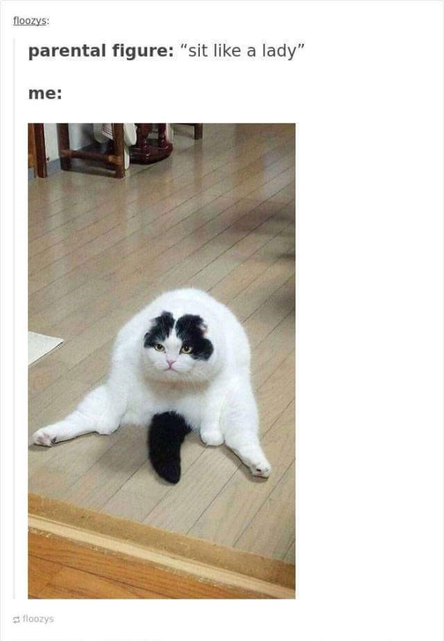 floozys: parental figure: "sit like a lady" me: floozys