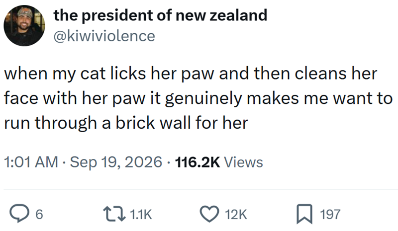 the president of new zealand @kiwiviolence when my cat licks her paw and then cleans her face with her paw it genuinely makes me want to run through a brick wall for her 1:01 AM • Sep 19, 2026 116.2K Views 6 1.1K 12K 197