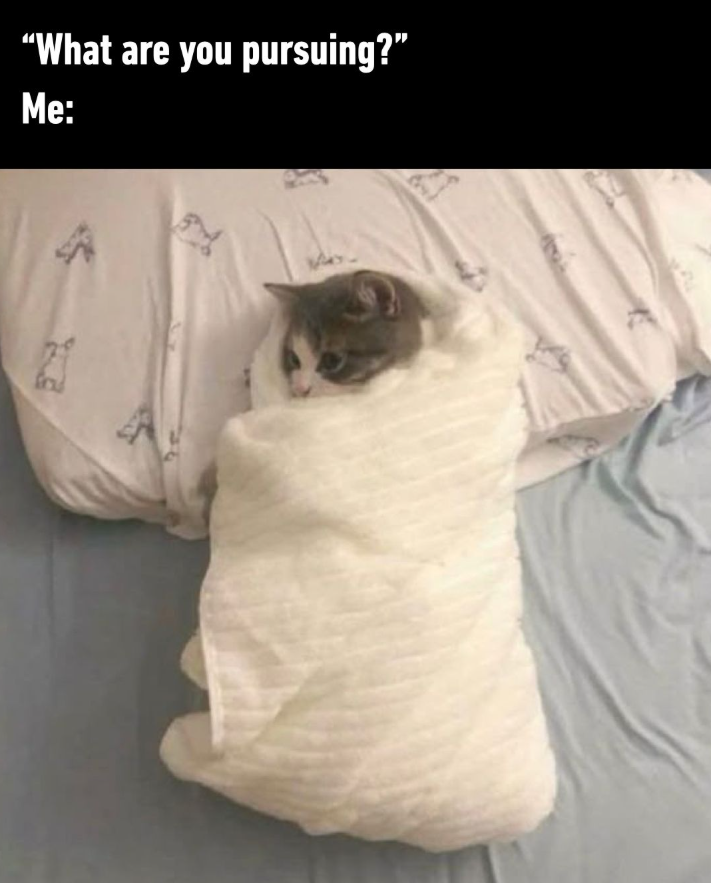 "What are you pursuing?” Me: