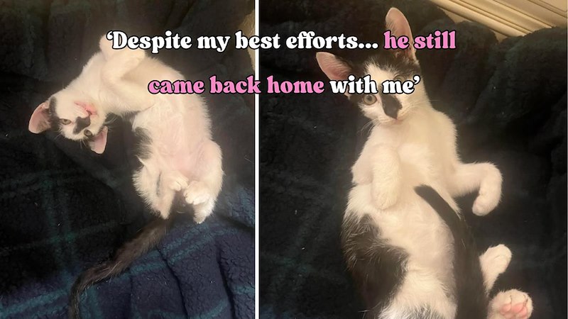 Despite my best efforts... he still came back home with me