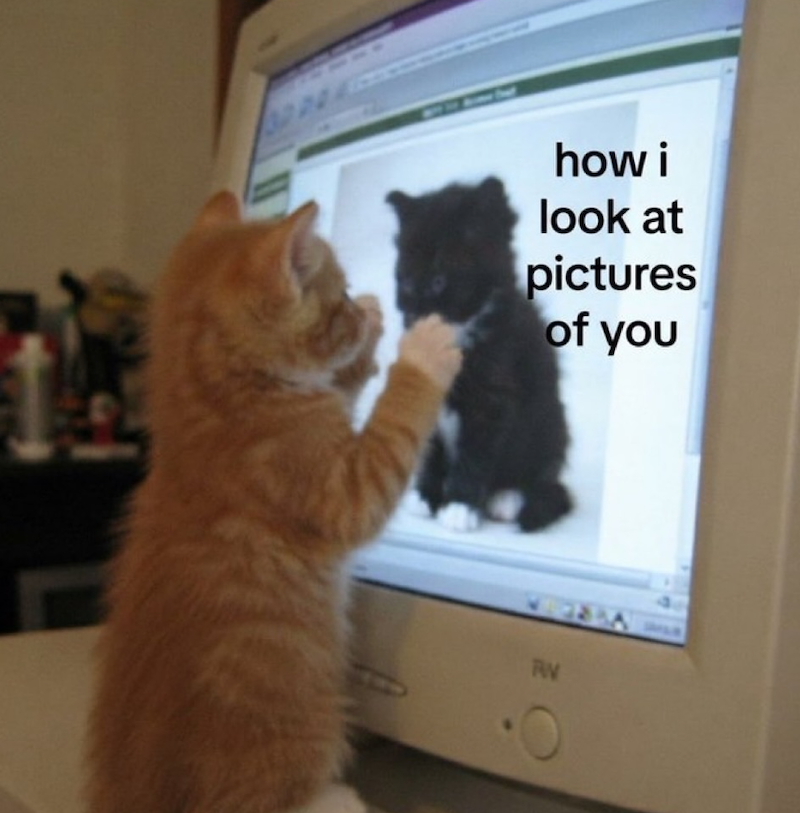 how i look at pictures of you WWW