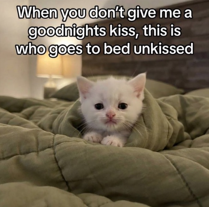 When you don't give me a goodnights kiss, this is who goes to bed unkissed