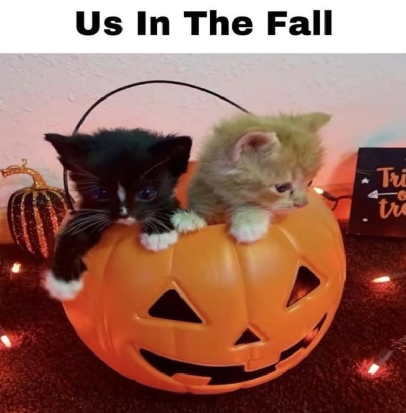 Us In The Fall Tri tr