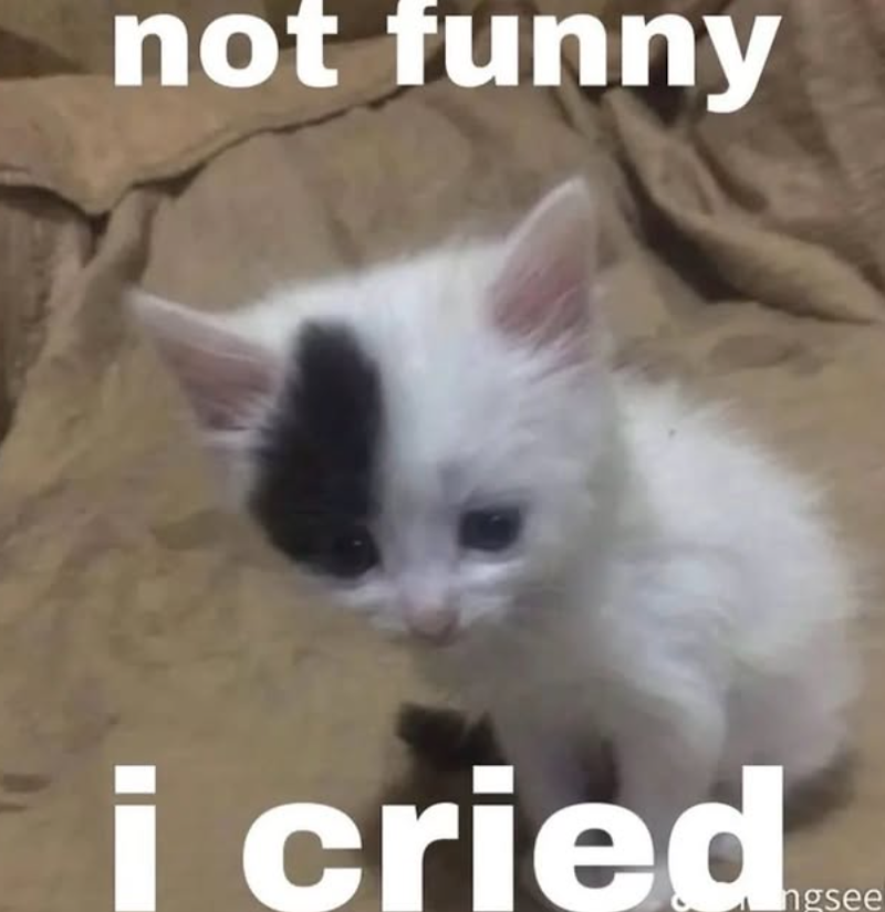not funny i cried ngsee