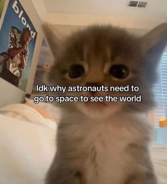 blond Idk why astronauts need to go to space to see the world