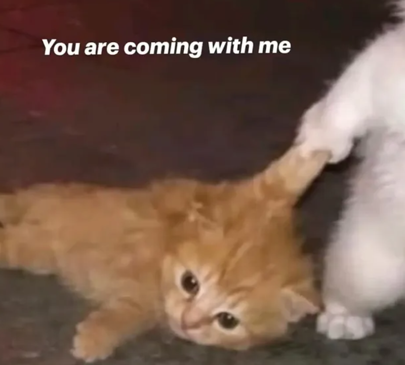 You are coming with me