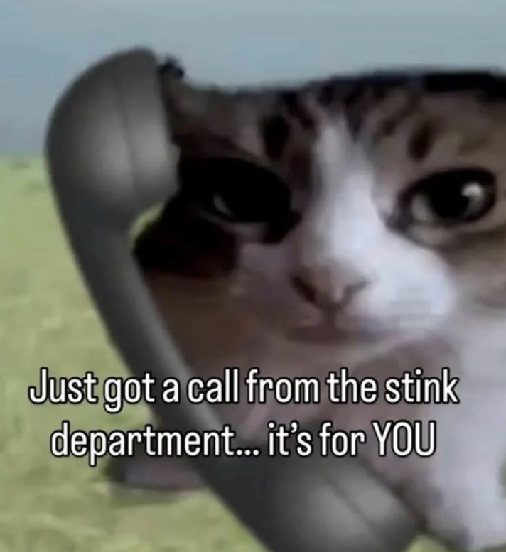 Just got a call from the stink department... it's for YOU