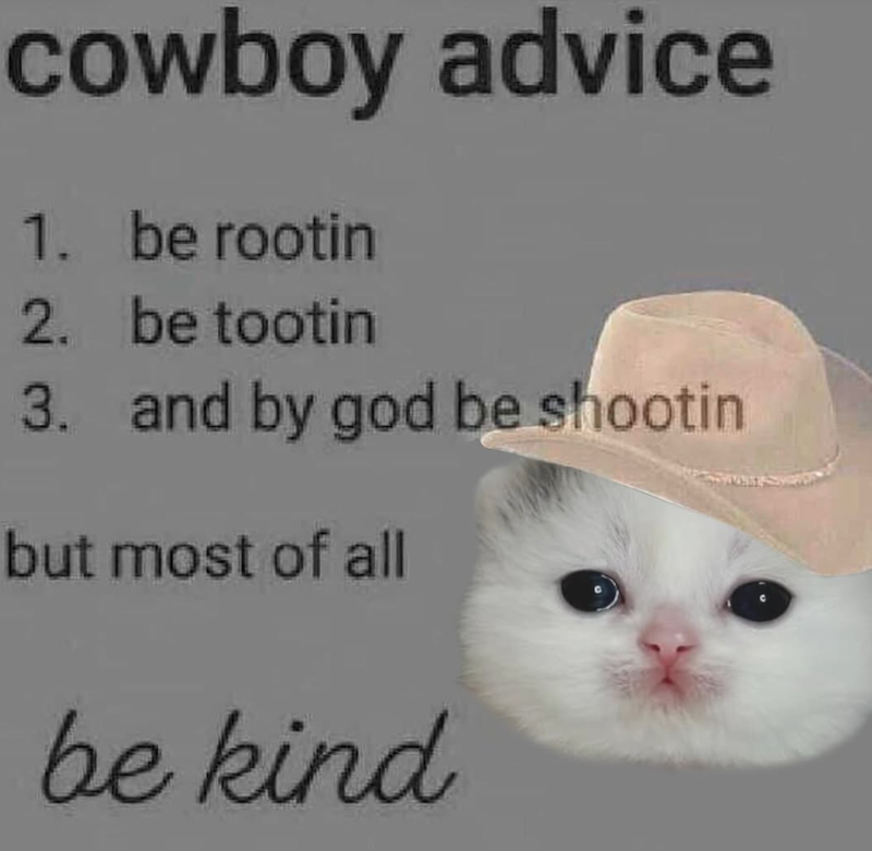 cowboy advice 1. be rootin 2. be tootin 3. and by god be shootin but most of all be kind