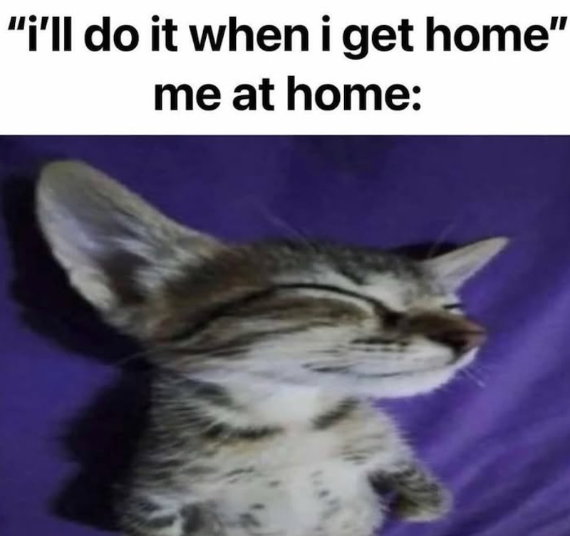 "i'll do it when i get home" me at home: