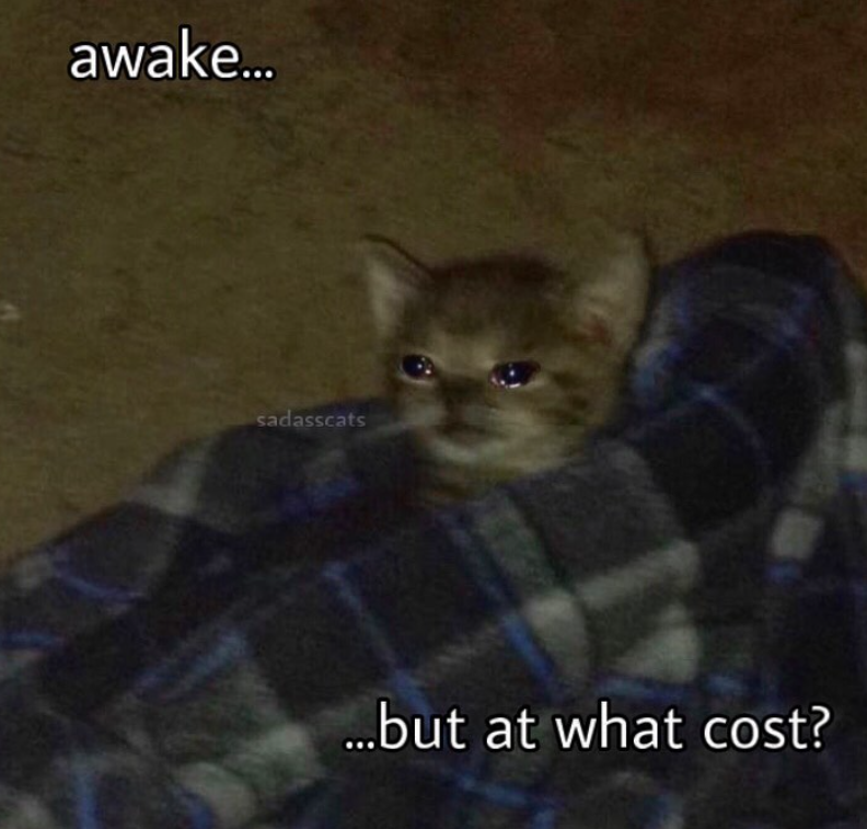 awake... sadasscats ...but at what cost?