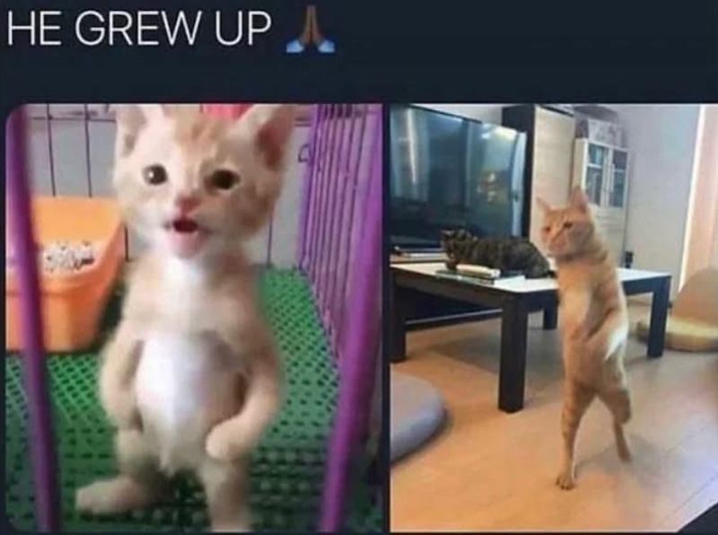 HE GREW UP