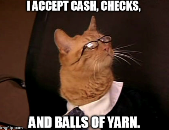 imgflip.com I ACCEPT CASH, CHECKS, AND BALLS OF YARN.