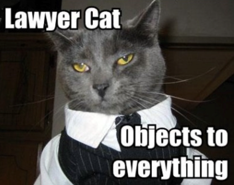 Lawyer Cat Objects to everything
