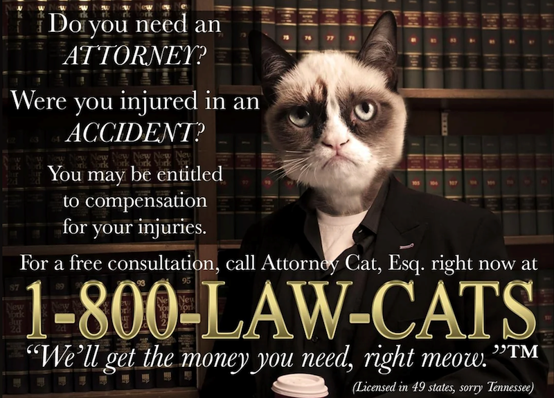 W w Do you need an ATTORNEY? Were you injured in an ACCIDENT? You may be entitled to compensation for your injuries. 105 For a free consultation, call Attorney Cat, Esq. right now at 1-800-LAW-CATS "We'll get the money you need, right meow. "TM (Licensed in 49 states, sorry Tennessee)
