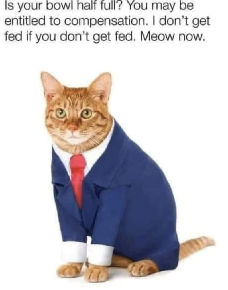 Is your bowl half full? You may be entitled to compensation. I don't get fed if you don't get fed. Meow now.