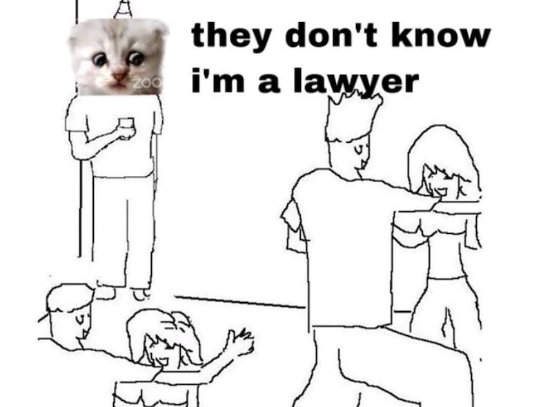 they don't know i'm a lawyer