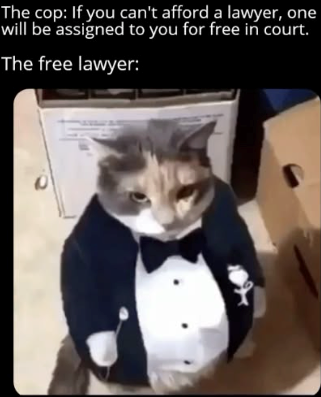 The cop: If you can't afford a lawyer, one will be assigned to you for free in court. The free lawyer: