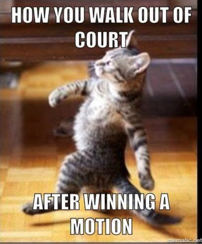 HOW YOU WALK OUT OF COURT AFTER WINNING A MOTION mematic.net