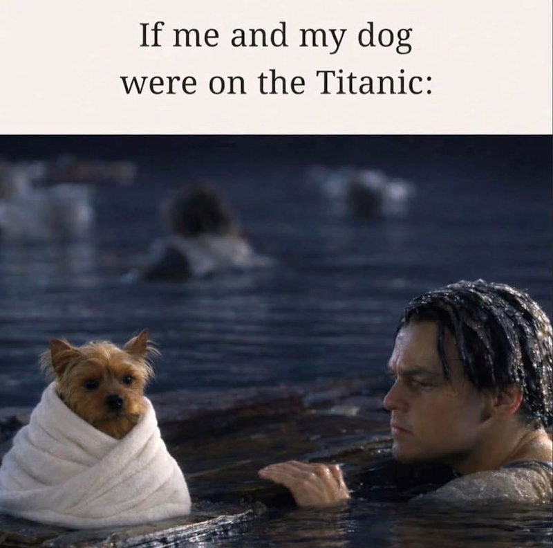If me and my dog were on the Titanic: