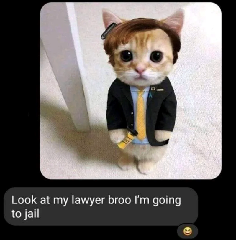 Look at my lawyer broo I'm going to jail
