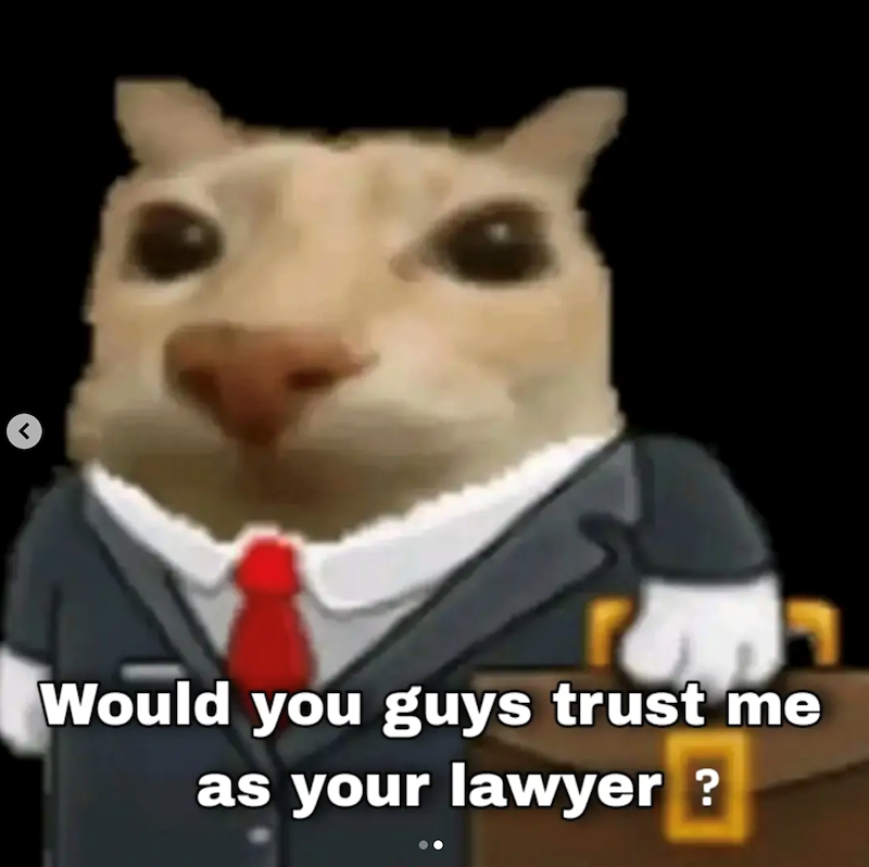 Would you guys trust me as your lawyer?