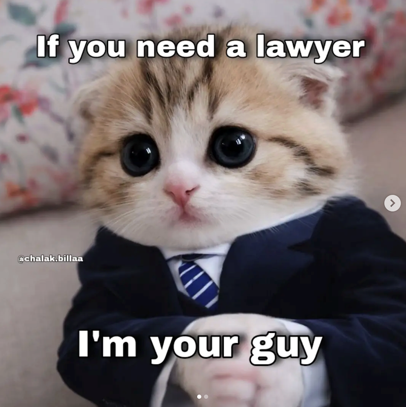 If you need a lawyer @chalak.billaa I'm your guy