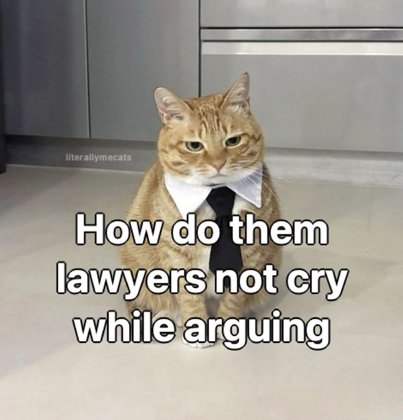 literallymecats How do them lawyers not cry while arguing
